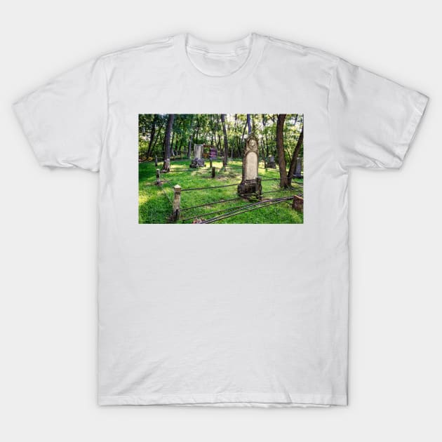 Historical Pioneer Cemetery 5 T-Shirt by Robert Alsop